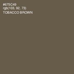 #675C49 - Tobacco Brown Color Image